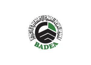 logo30
